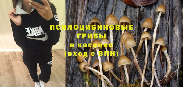 каннабис Каменногорск