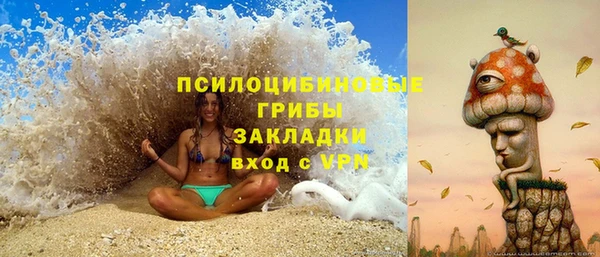 a pvp Каменка