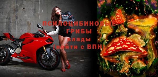 каннабис Каменногорск