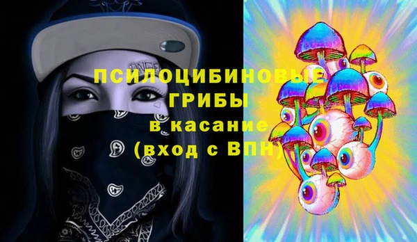 a pvp Каменка
