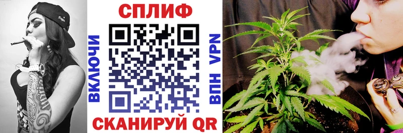 Канабис ГИДРОПОН  Купить  Жиздра 